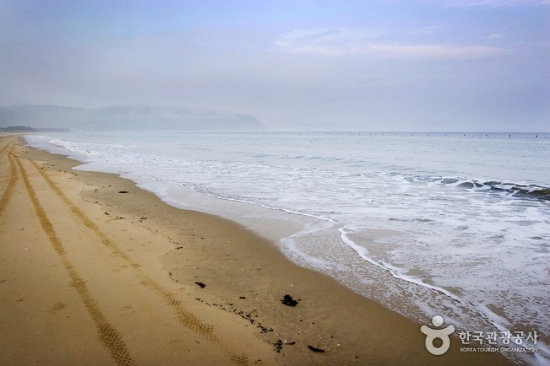薪智鳴沙十里海水浴場