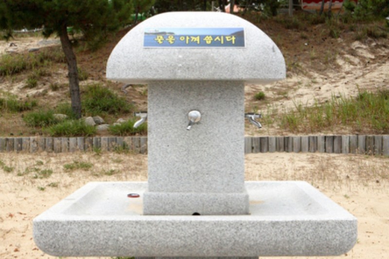 薪智鳴沙十里海水浴場
