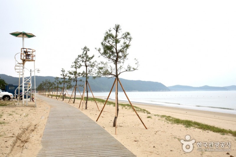 薪智鳴沙十里海水浴場