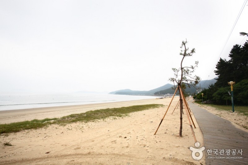 薪智鳴沙十里海水浴場