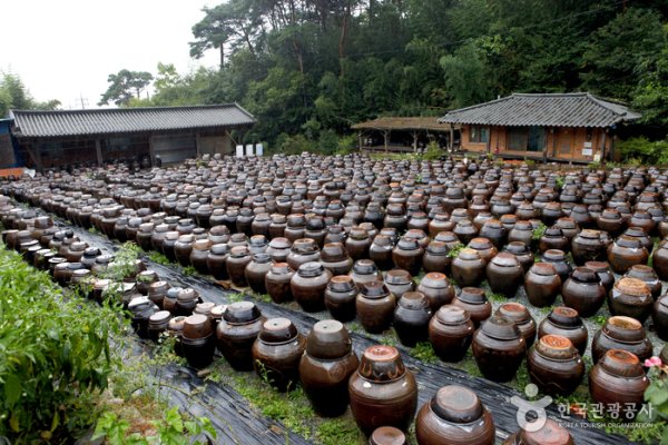 南道飲食文化饗宴
