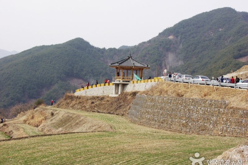 求禮山茱萸村 (5/10)