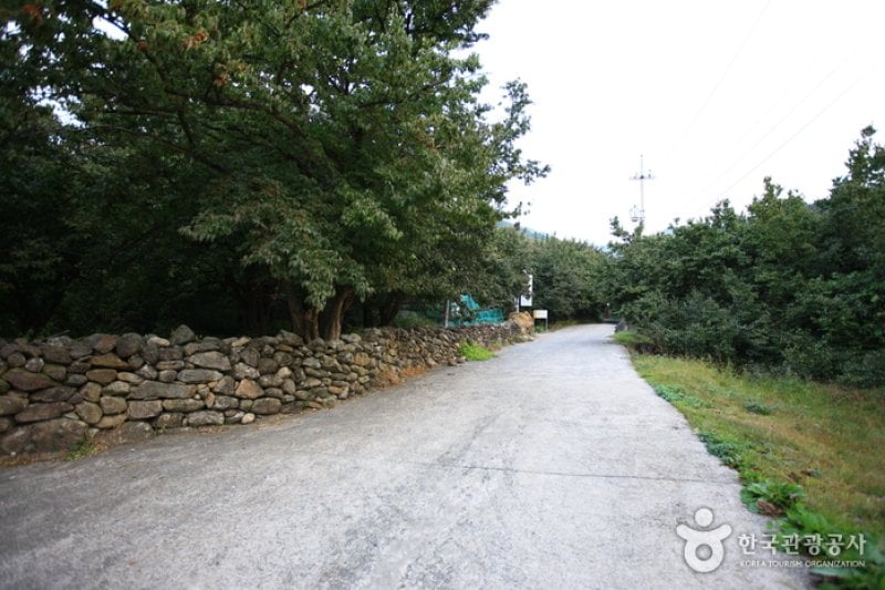 求禮山茱萸村 (9/10)