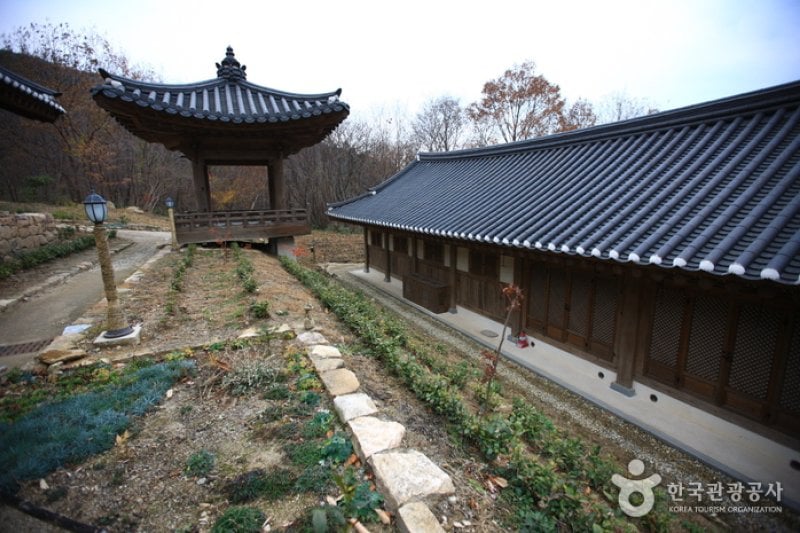 順天傳統野生茶體驗館 (4/11)