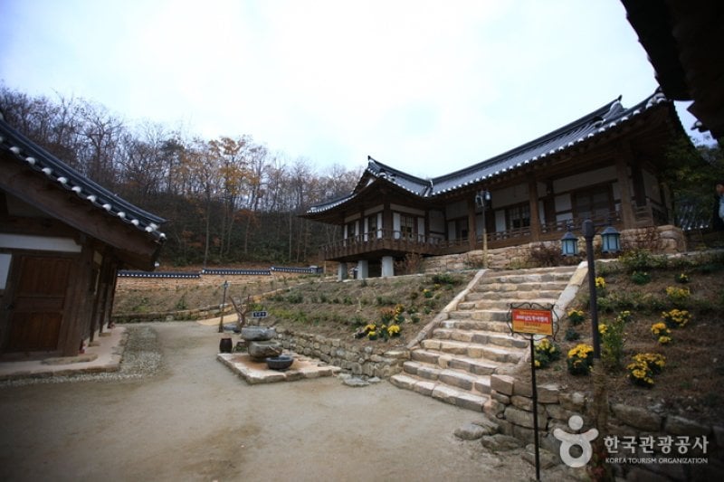 順天傳統野生茶體驗館 (5/11)