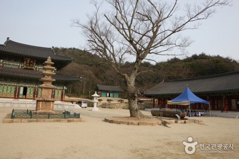 道岬寺 (4/29)