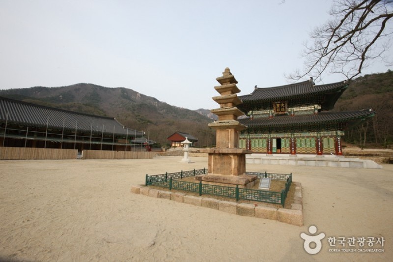 道岬寺 (13/29)