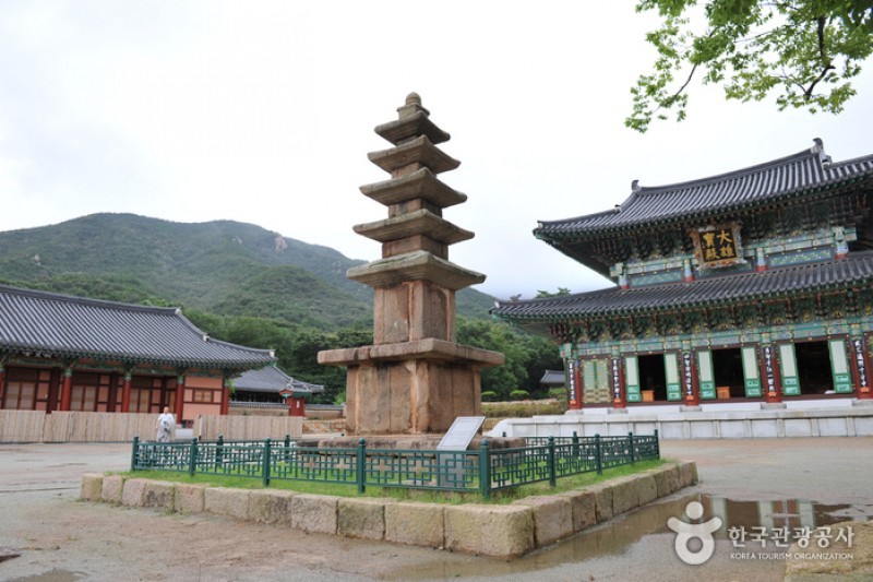 道岬寺 (16/29)