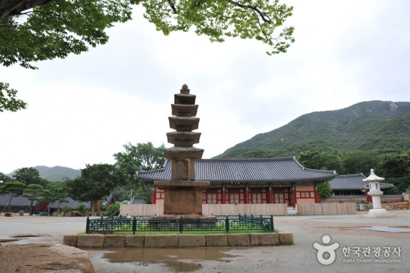 道岬寺 (17/29)