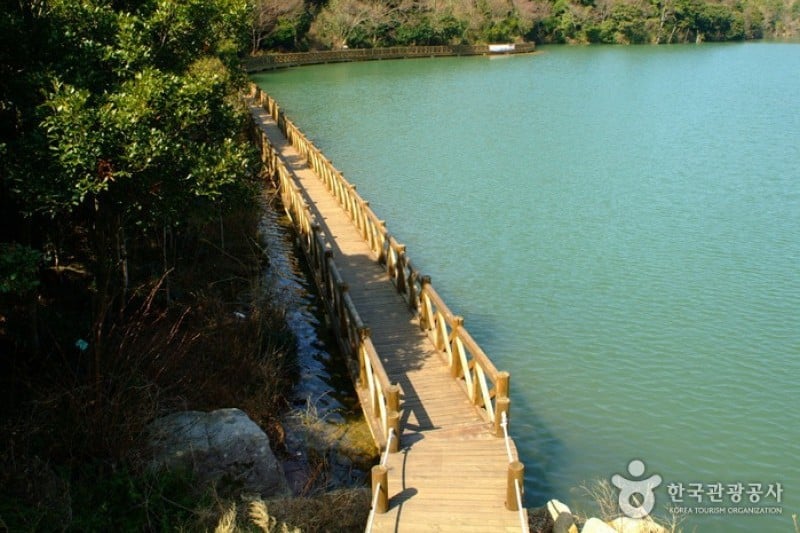 莞島樹木園 (1/13)