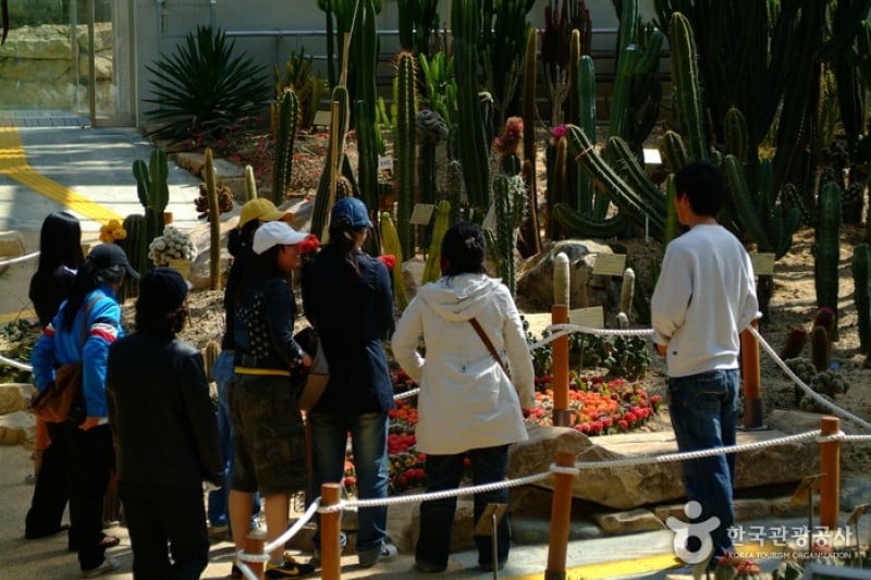 莞島樹木園 (12/13)