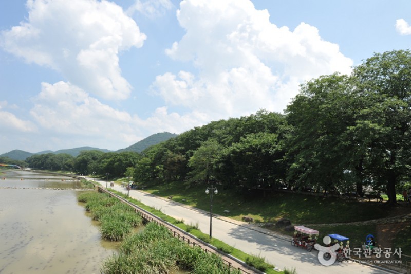 官防堤林