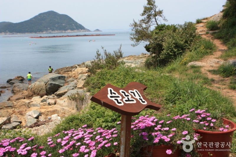青山島慢活健行節 (5/13)