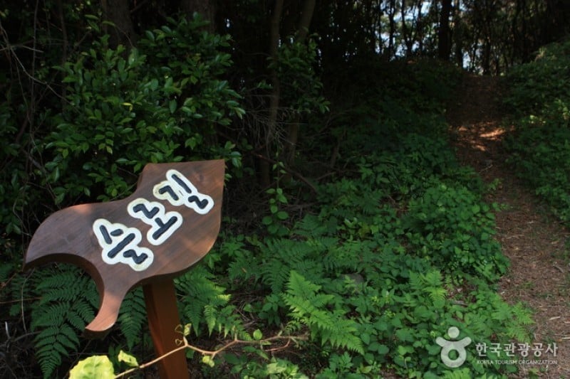 青山島慢活健行節 (9/13)