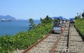 麗水海洋鐵路自行車