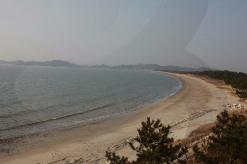 曾島羽田海水浴場 (1/6)