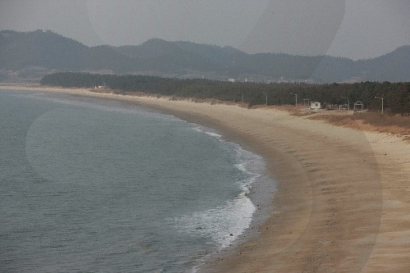 曾島羽田海水浴場 (2/6)