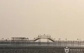 [曾島第三觀光路線]千年樹林道