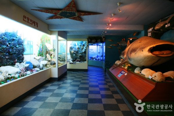 土末海洋自然史博物館