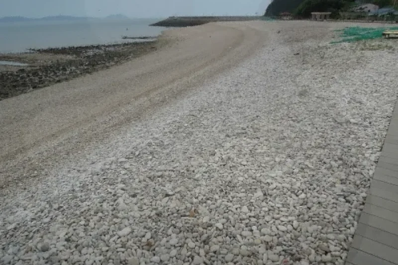 松耳島 (7/11)