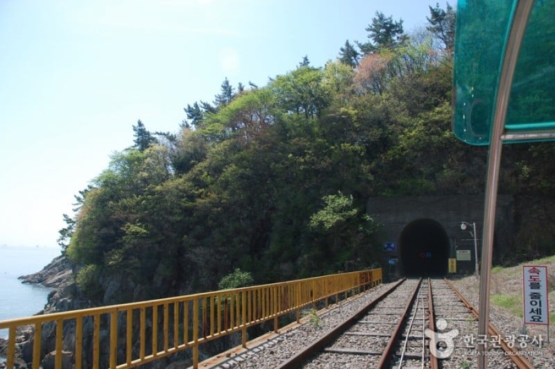 麗水海洋鐵路自行車
