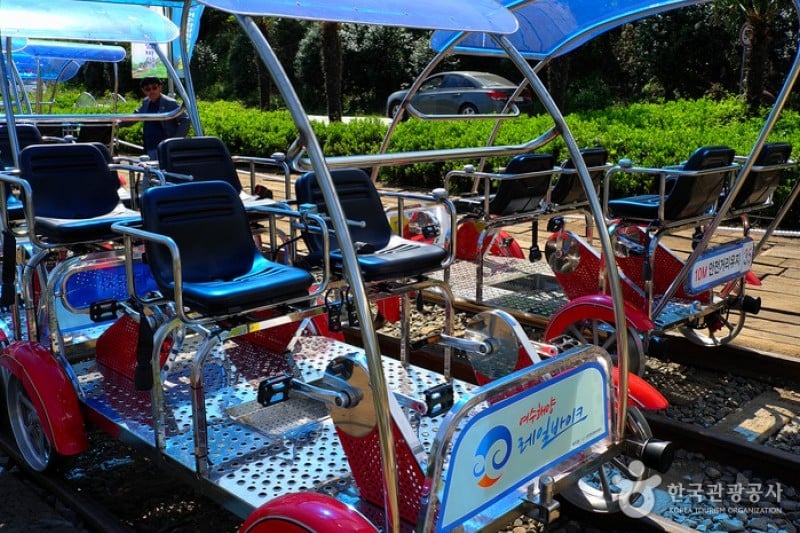 麗水海洋鐵路自行車