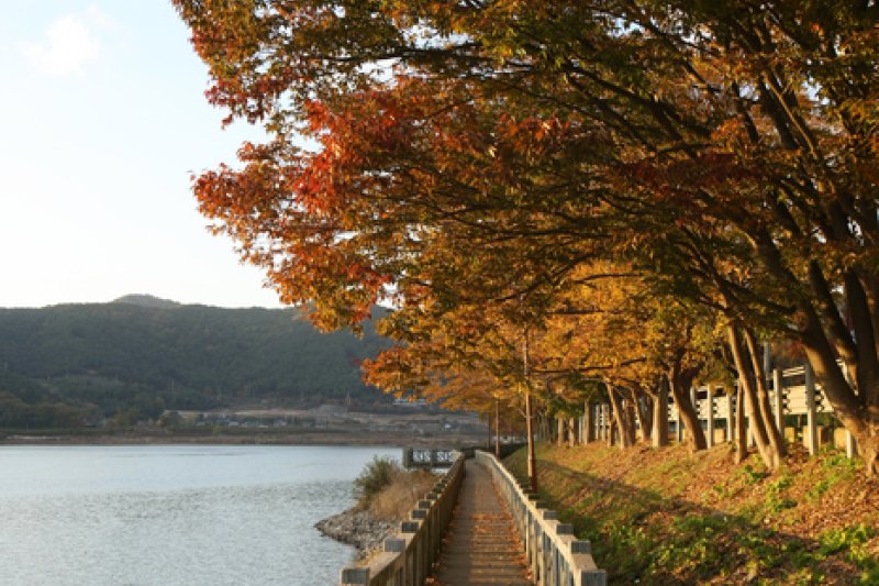 長城湖旅遊區장성호관광지 (3/15)