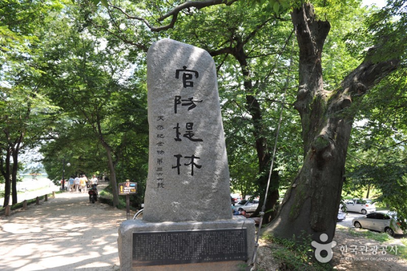 官防堤林