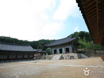 桐華寺