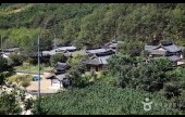 大邱漆谷村