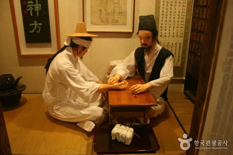 大邱藥令市韓醫藥博物館 (1/22)