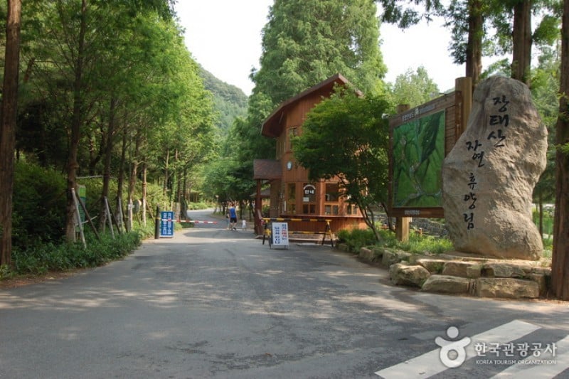 將太山自然休養林 (1/19)