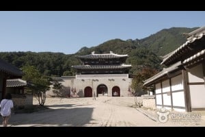 聞慶鳥嶺開放式攝影場