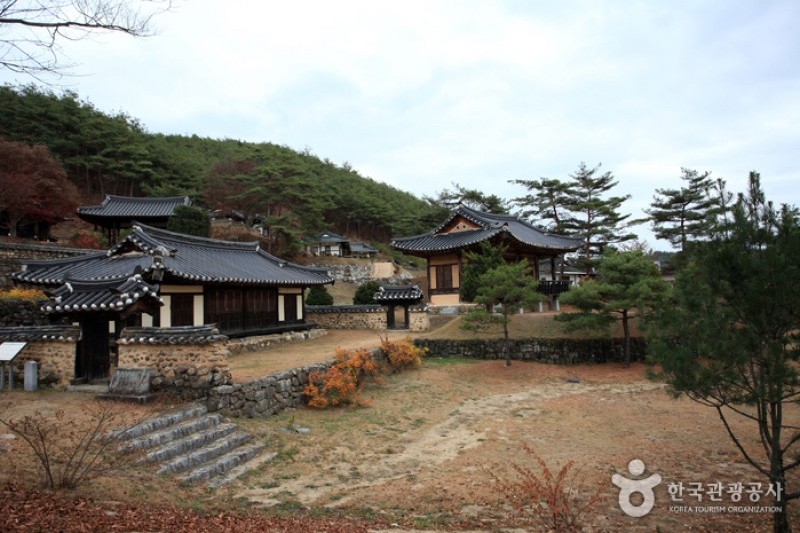 安東君子村 (1/11)