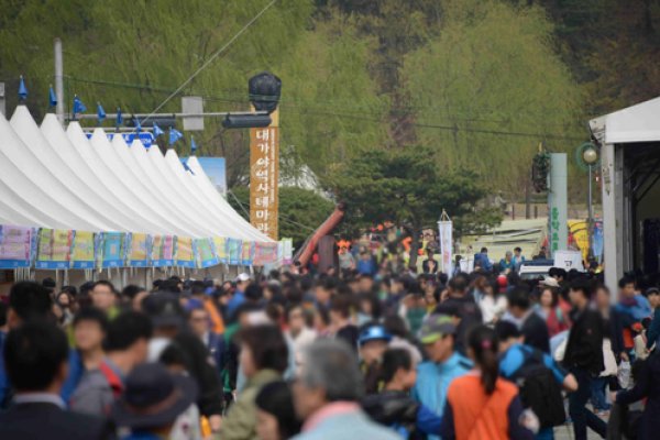 高靈大伽倻體驗節