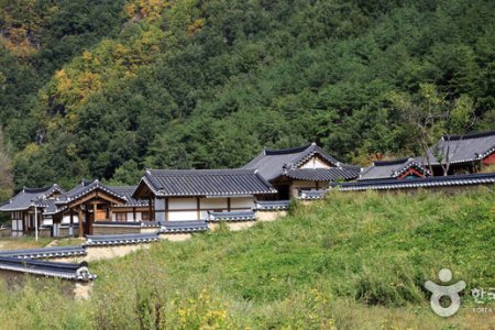 聾巖宗宅(농암종택)