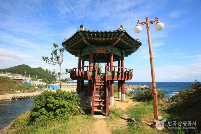 竹蟹元祖村  (5/15)