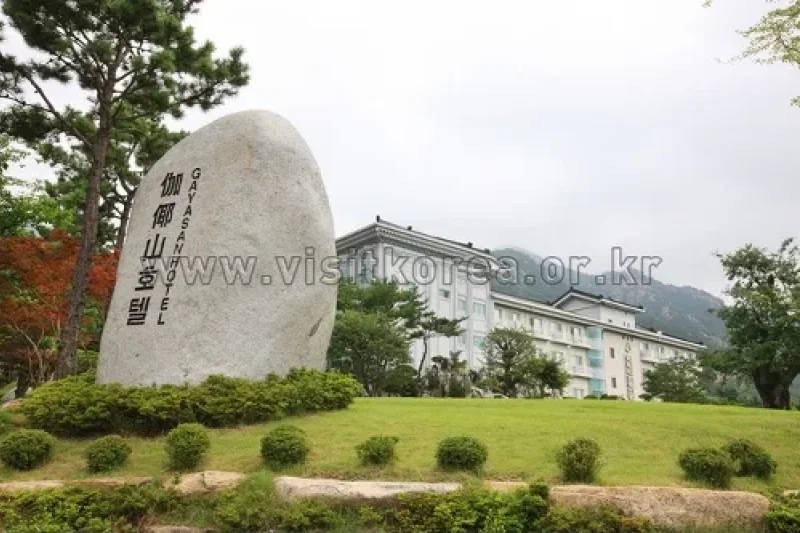 伽倻飯店(가야호텔)