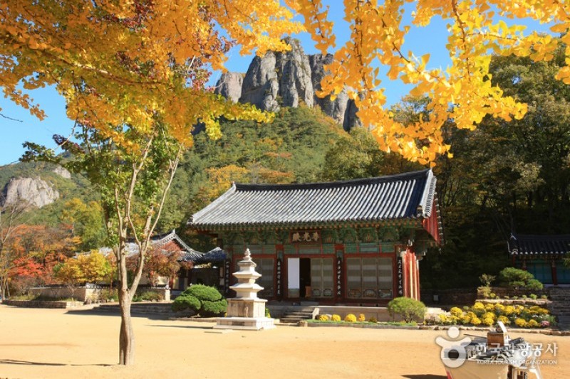 大典寺  (5/14)