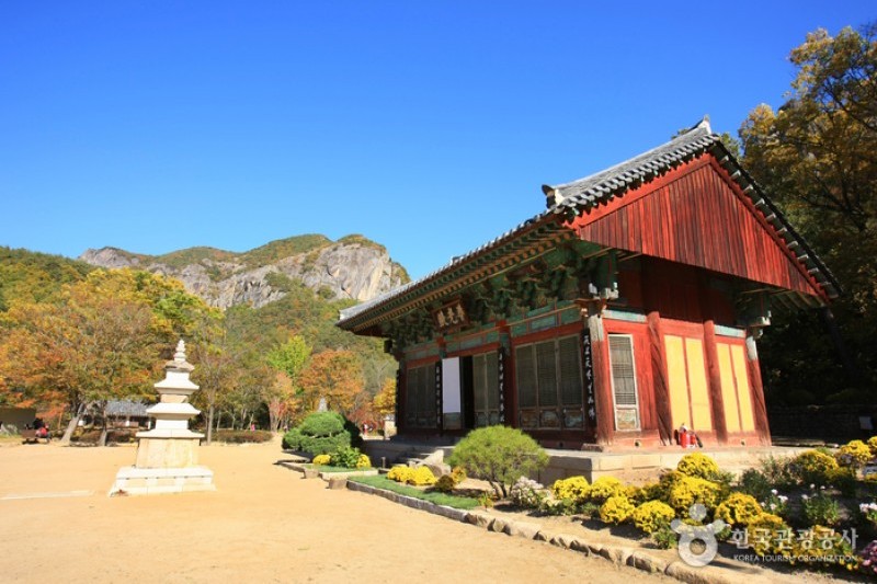 大典寺  (8/14)