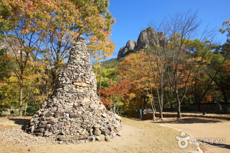 大典寺  (11/14)