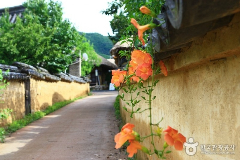 安東河回村[UNESCO世界文化遺產]