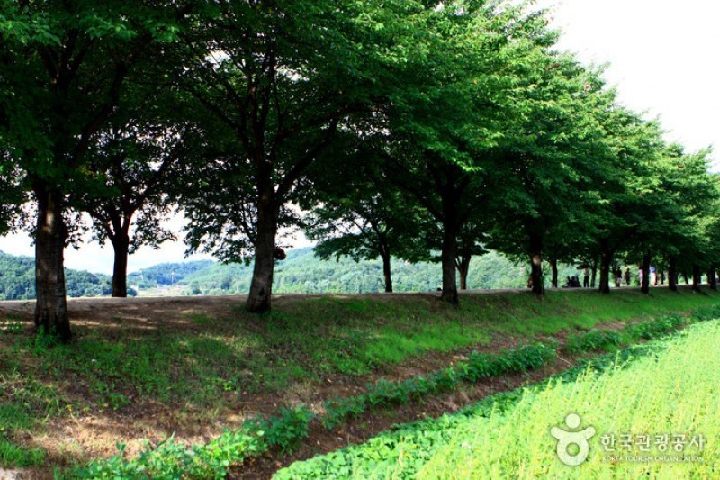 安東河回村[UNESCO世界文化遺產]