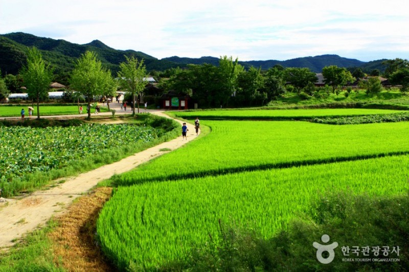 安東河回村[UNESCO世界文化遺產]