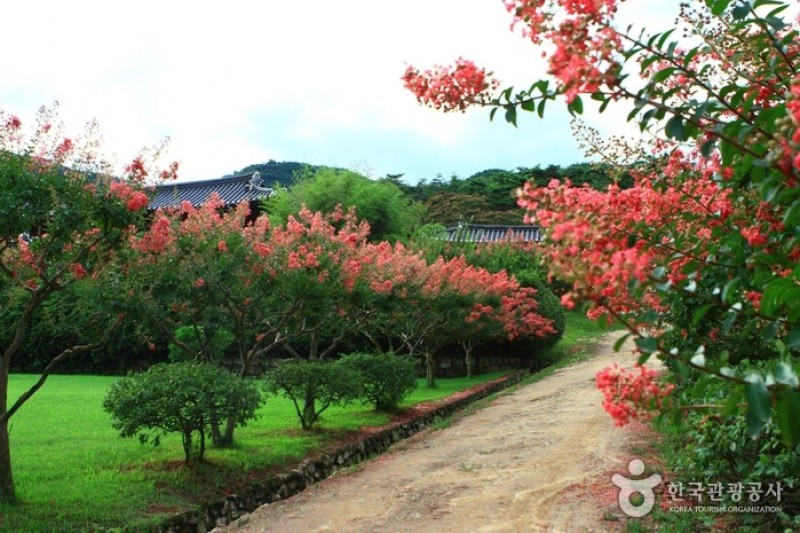 安東河回村[UNESCO世界文化遺產]