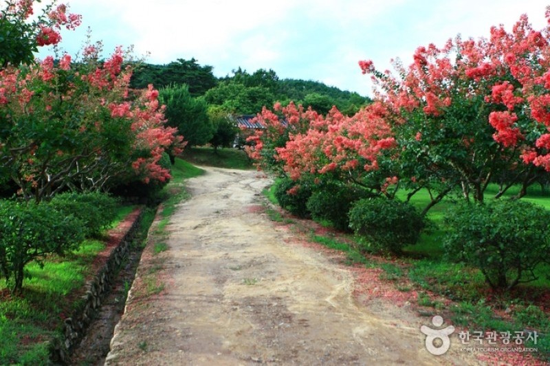 安東河回村[UNESCO世界文化遺產]