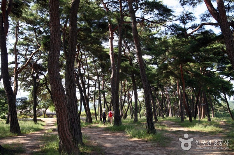 安東河回村[UNESCO世界文化遺產]