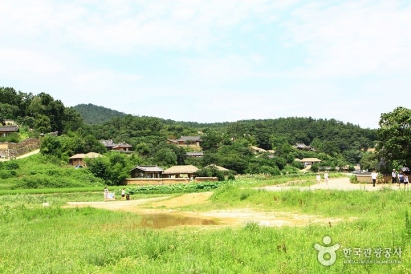 慶州良洞村[UNESCO世界文化遺產] (1/45)