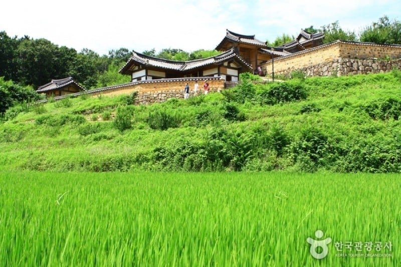 慶州良洞村[UNESCO世界文化遺產] (7/45)