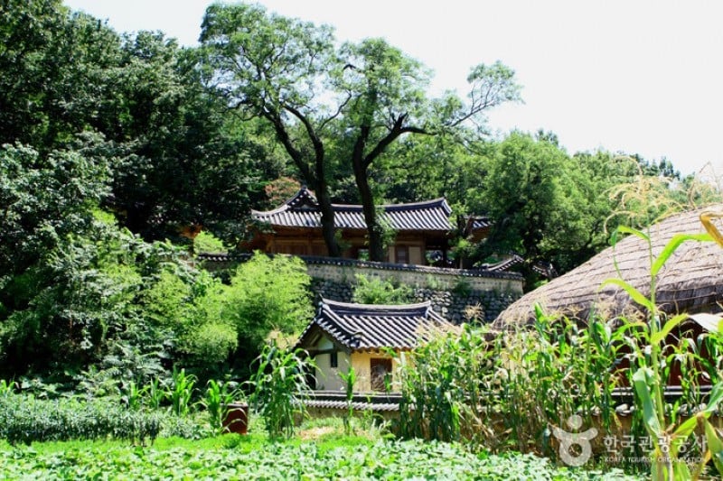 慶州良洞村[UNESCO世界文化遺產] (21/45)